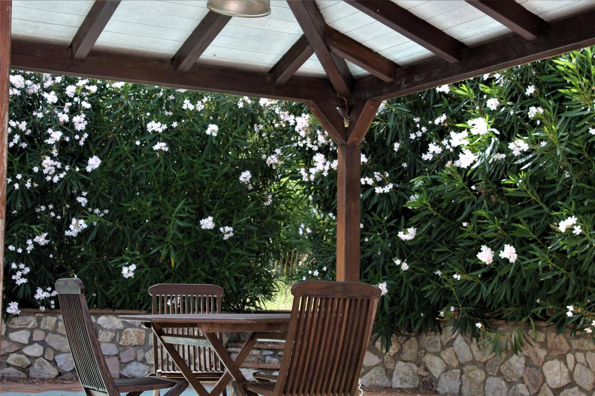 Residence Les Oliviers Porto Azzurro Eksteriør bilde