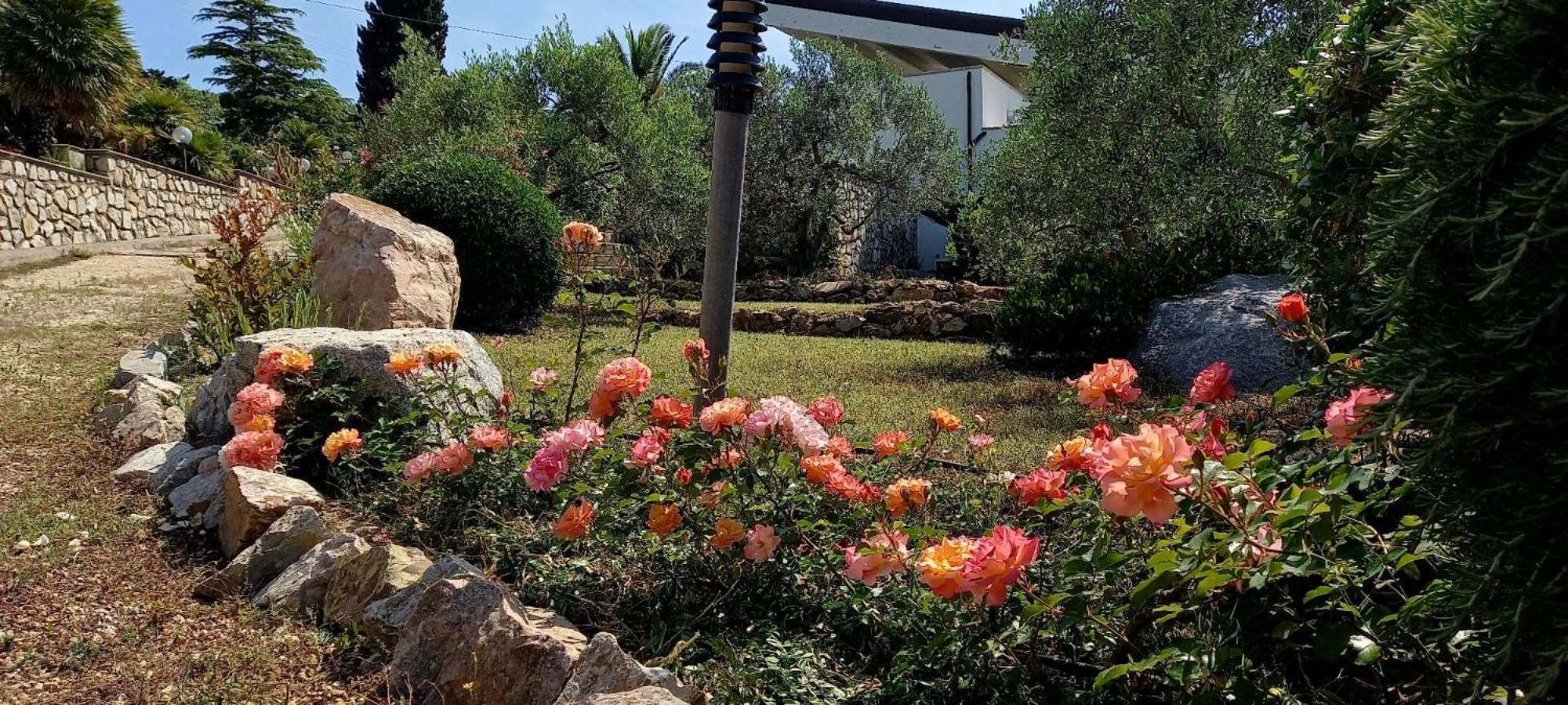 Residence Les Oliviers Porto Azzurro Eksteriør bilde
